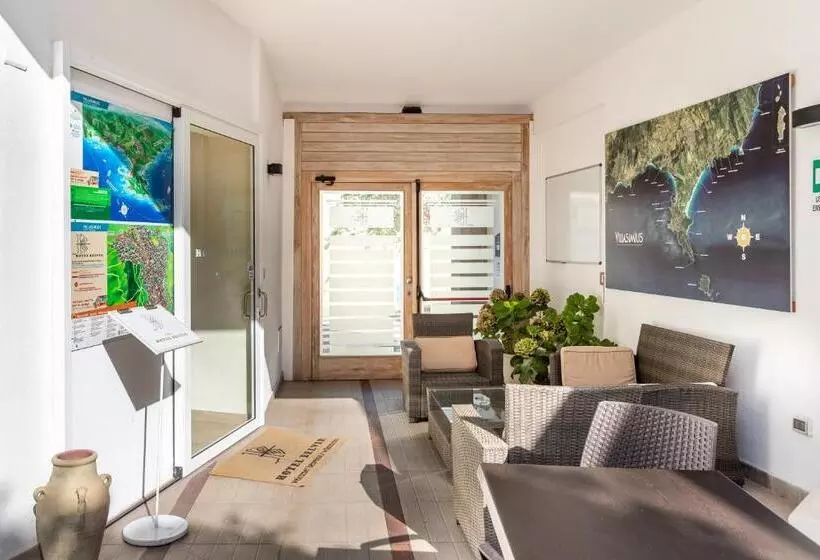 בית מלון כפרי Belvir