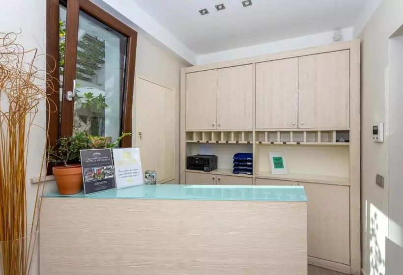 בית מלון כפרי Belvir