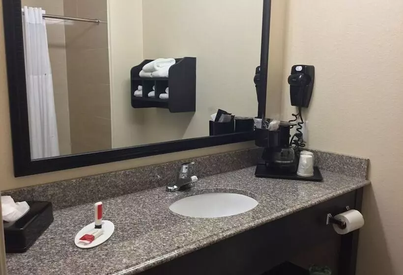 ホテル Days Inn & Suites By Wyndham Galveston West/seawall