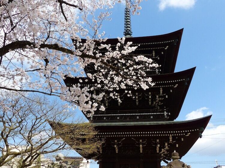 酒店 Minshuku Kuwataniya