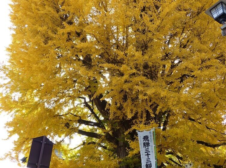 酒店 Minshuku Kuwataniya