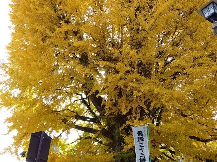 בית מלון כפרי Minshuku Kuwataniya