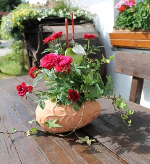 Отель Schäfflerhof