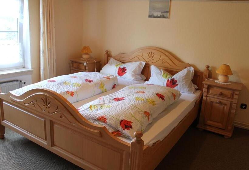 Отель Schäfflerhof