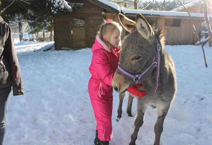 Отель Schäfflerhof