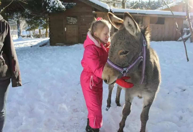 호텔 Schäfflerhof