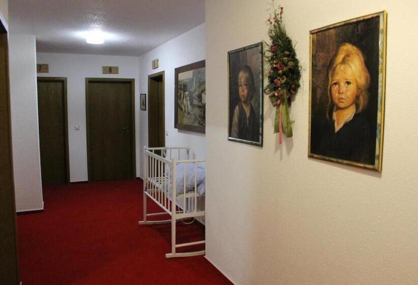 Отель Schäfflerhof