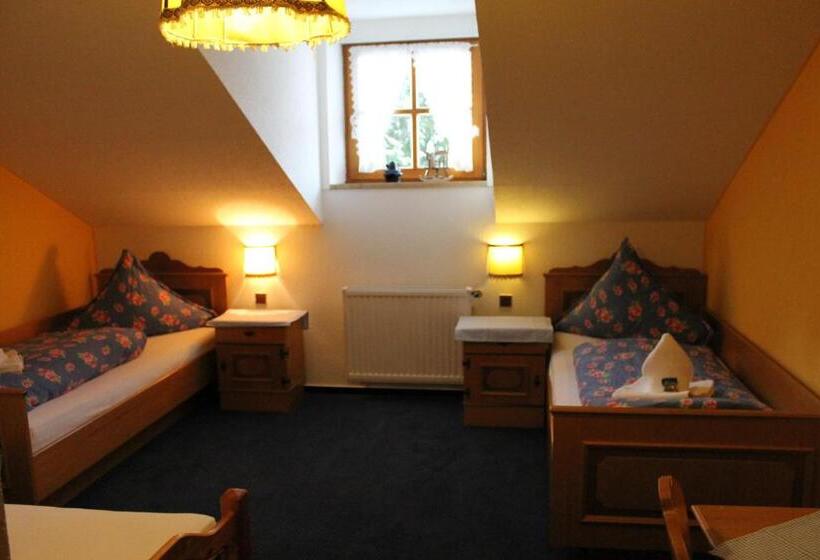 Отель Schäfflerhof