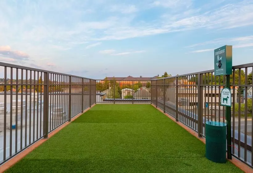 فندق Staybridge Suites Seattle Fremont, An Ihg