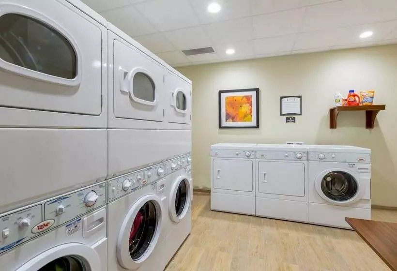 فندق Staybridge Suites Seattle Fremont, An Ihg