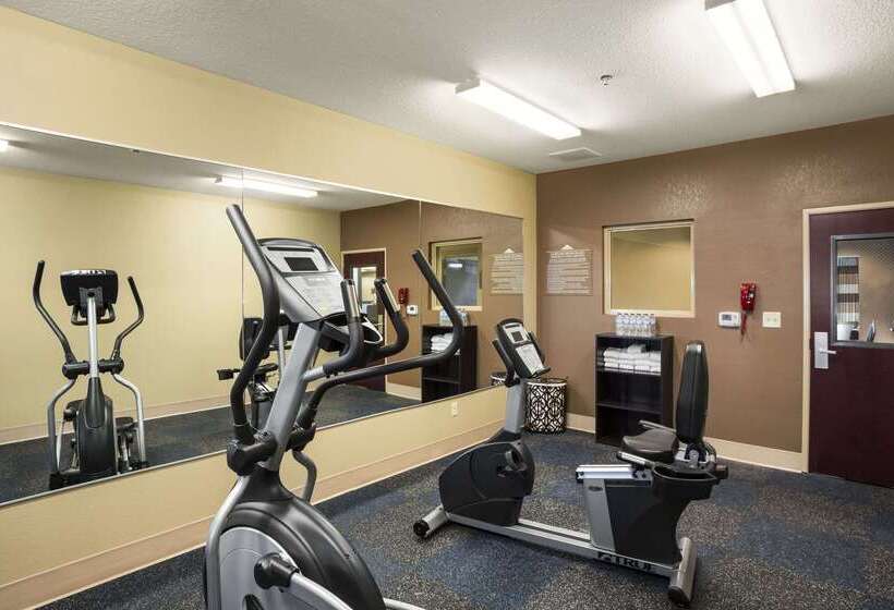 Microtel Inn And Suites Carrollton