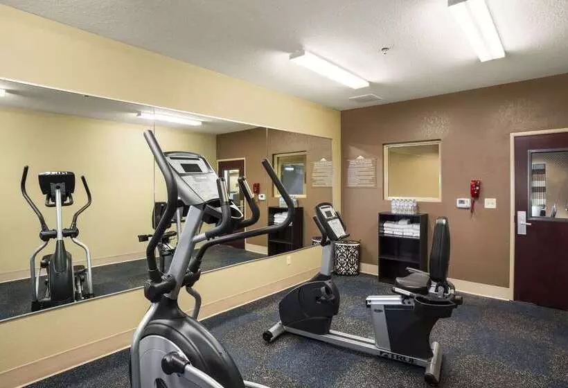 Microtel Inn And Suites Carrollton