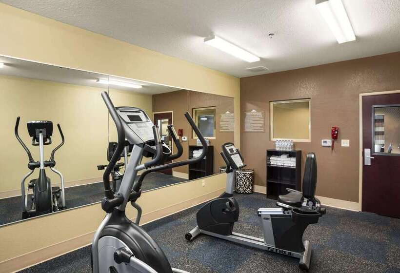 Microtel Inn And Suites Carrollton