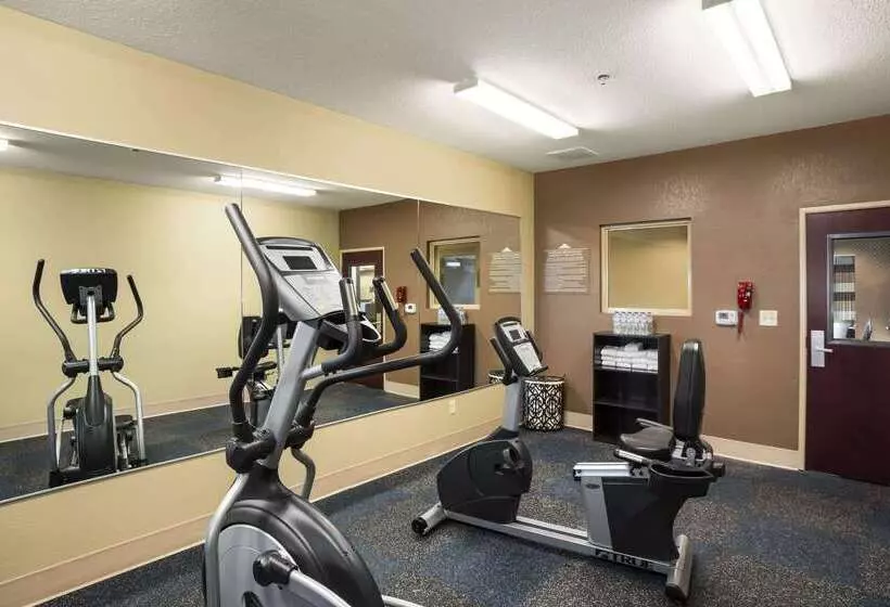 Microtel Inn And Suites Carrollton