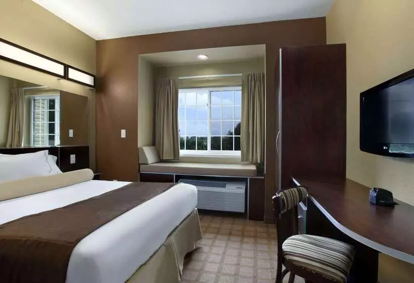 Microtel Inn And Suites Carrollton