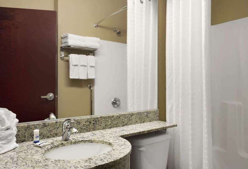 Microtel Inn And Suites Carrollton