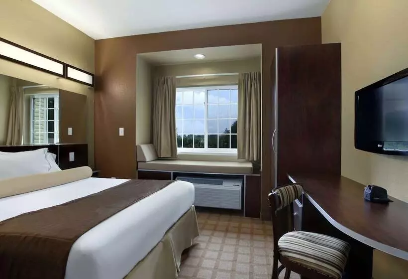 Microtel Inn And Suites Carrollton