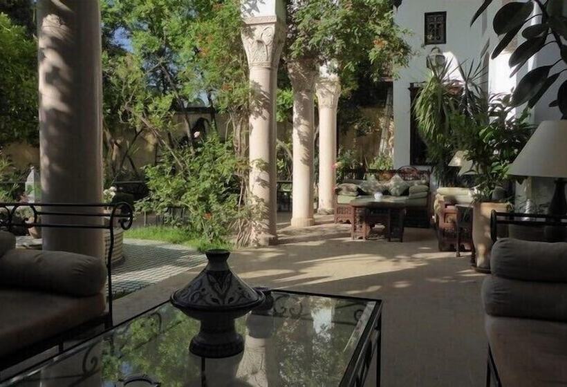 里亚德 Ryad Mabrouka