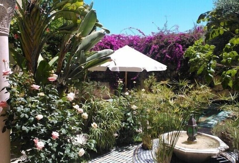 里亚德 Ryad Mabrouka