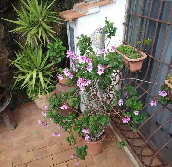 Al Geranio B&b