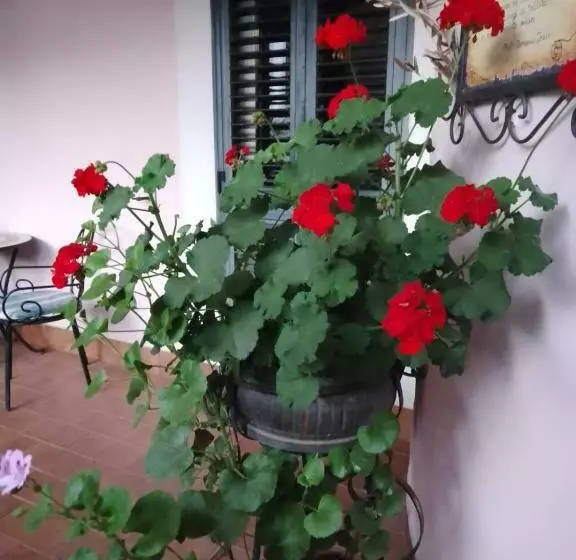 Al Geranio B&b
