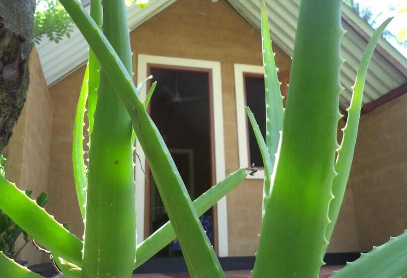 فندق صغير By The C Cabanas