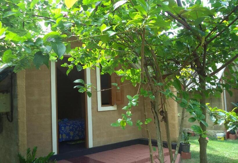 فندق صغير By The C Cabanas