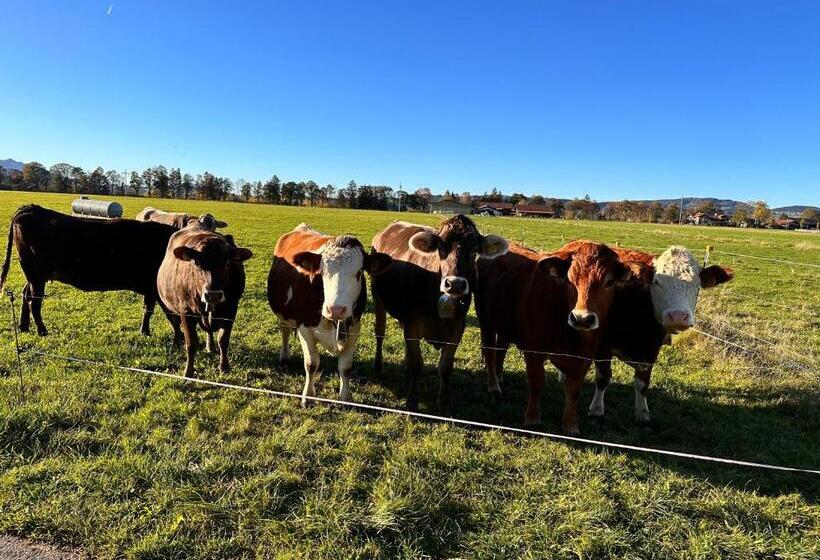 Ferienhaus Schwangau