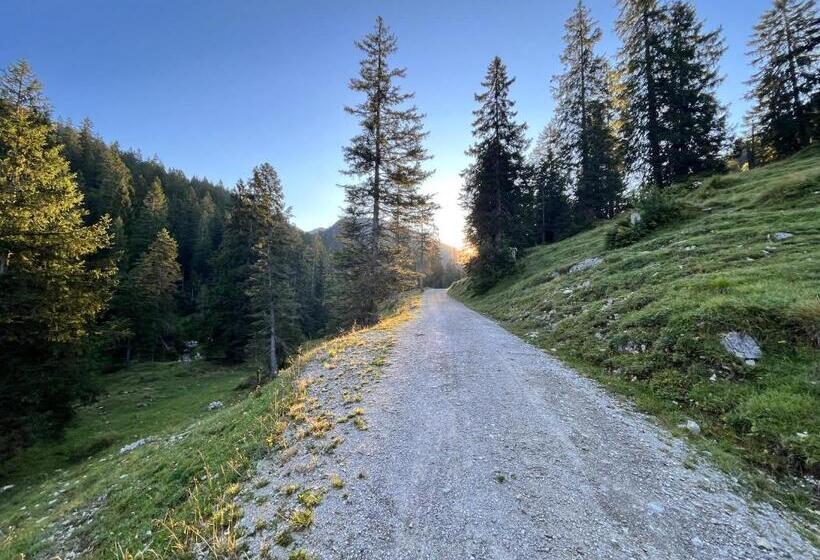 Ferienhaus Schwangau