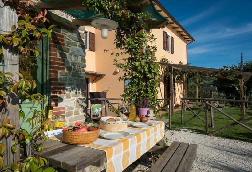 בית מלון כפרי Agriturismo La Coccinella