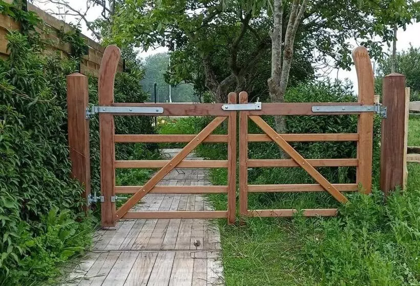 Mademoiselle Nineth Met Sauna
