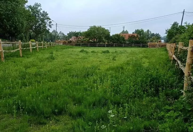 Mademoiselle Nineth Met Sauna