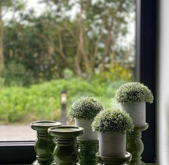 Mademoiselle Nineth Met Sauna