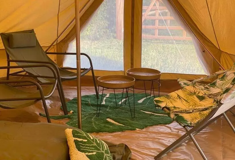 Mademoiselle Nineth Met Sauna