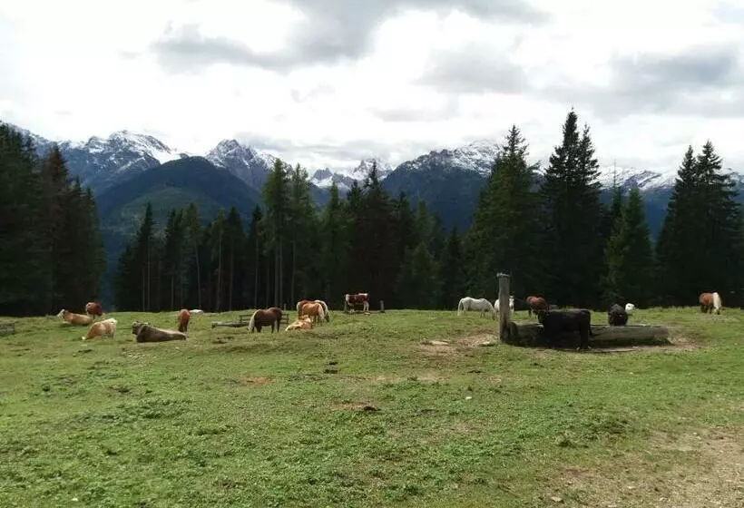 Majatalo Haus Antonius