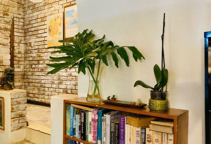 פנסיון Su Casa Chase Valley