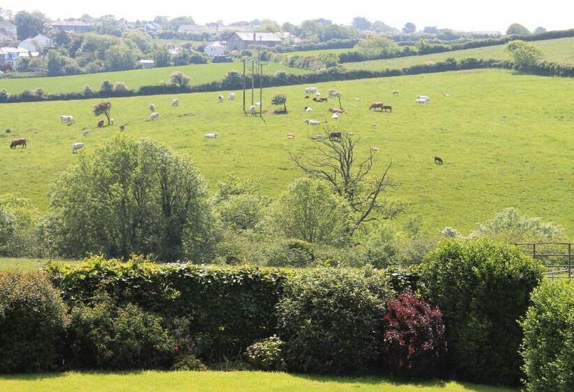 Trevanger Farm Bed And Breakfast