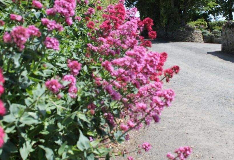 Trevanger Farm Bed And Breakfast