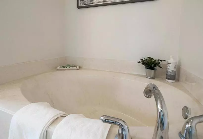 Whispering Palm Newly Renovated Cozy Fenced In Pool Home   Sleeps 8