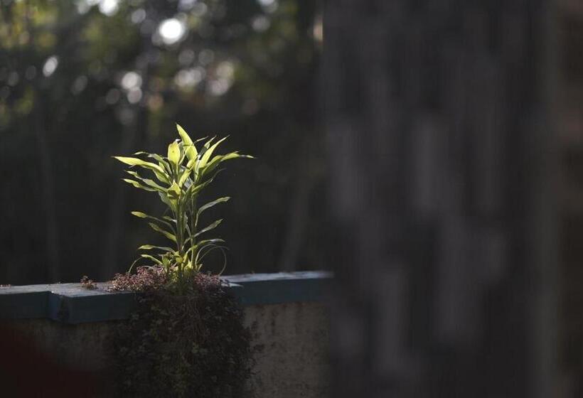 Blue Sophy Residency