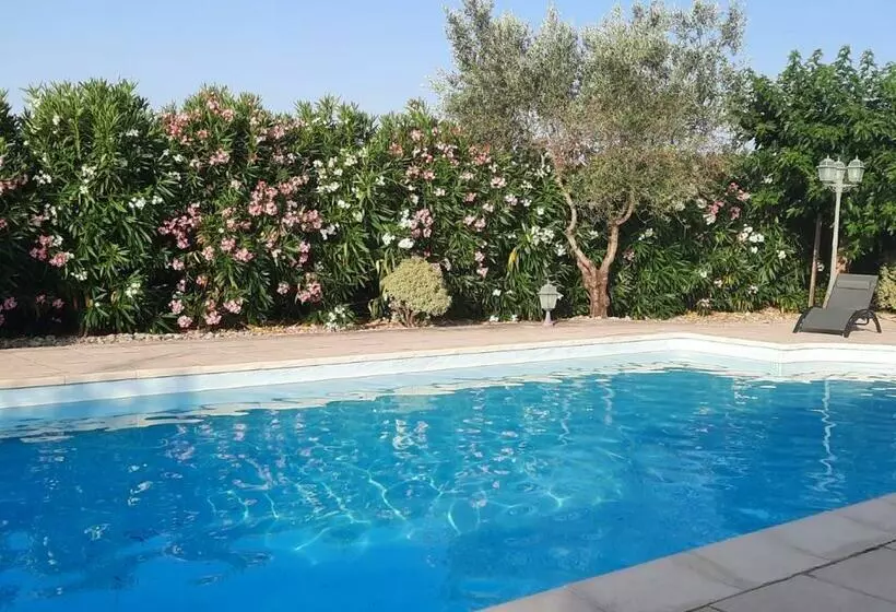 Echappée En Provence