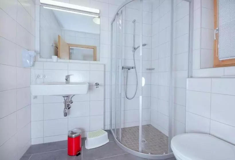 Grünerstein Chalet Jungbrunnen