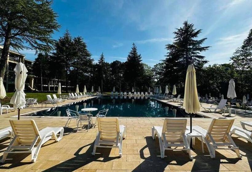 호텔 Queen Nelly Park