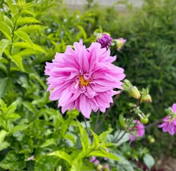 Majatalo Hospedaje El Girasol Tababela