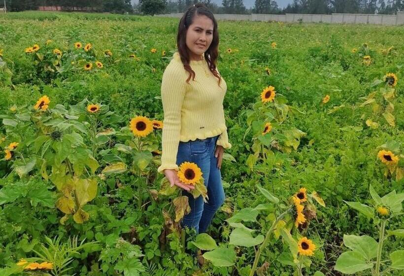 Panzió Hospedaje El Girasol Tababela