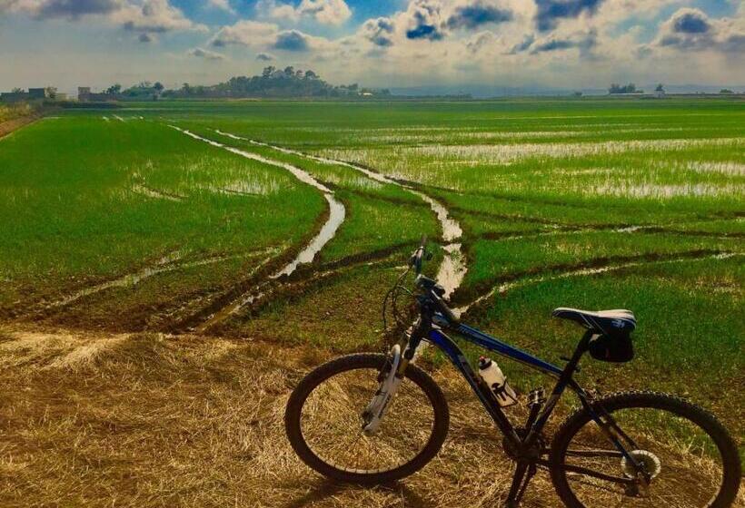 Beachfront And Peaceful Apartment