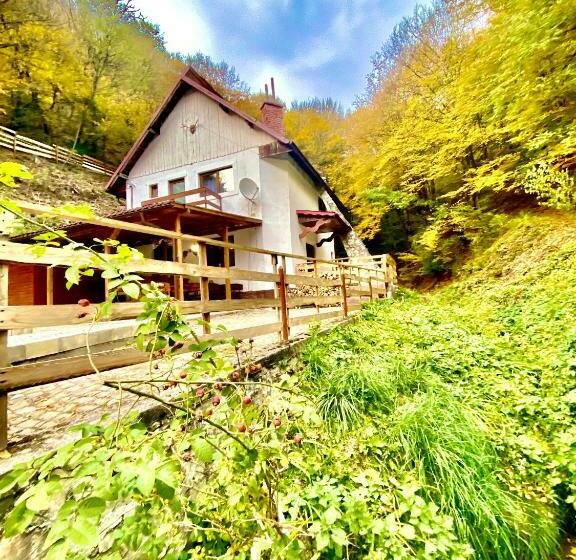 مبيت وإفطار Căsuța Din Pădure