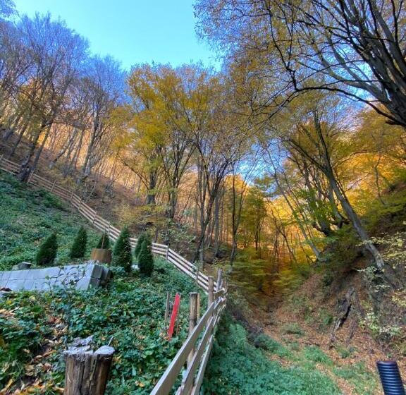 مبيت وإفطار Căsuța Din Pădure