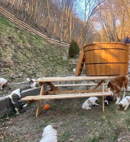 مبيت وإفطار Căsuța Din Pădure