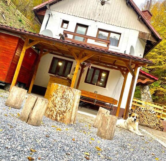 مبيت وإفطار Căsuța Din Pădure